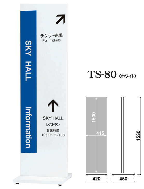 TS-80